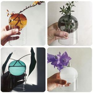 Round Glass Vase Potted Decoration Nordic Style Decorative Vase Hydroponic Terrarium Arrangement Container Flower Table Vase