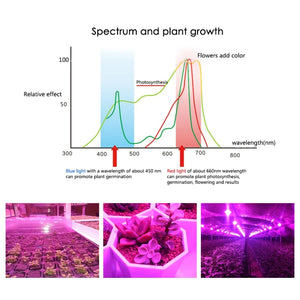 LED Grow Light E27 Full Spectrum 18W 28W 30W 50W 80W for Hydroponics Plant Light AC85-265V 110V 220V Led Grow Lamp