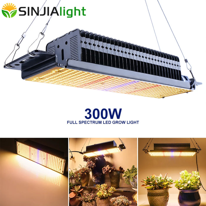 300W LED Grow Light Full Spectrum Phytolamp for Hydroponics Plants Growbox Growtent Indoor flowers vegs seedlings greenhouse