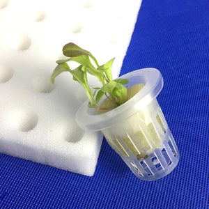 T8WE 100Pcs Soilless Hydroponic Sponge Seed Growing Media Cubes Square Seedling Foam