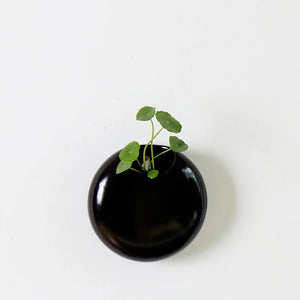 Korean Retro Hydroponic Ceramic Black and White  Wall Hung  Fleshy Flowerpot Simple Plant Pot Office Decor Gardening Creative