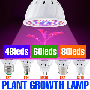 220V Hydroponic Growth Light E27 Led Grow Bulb Phyto E14 Full Spectrum For Flower Plant MR16 GU10 Hydroponic Growing Lamp B22