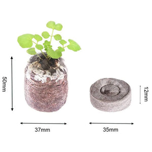 35mm Garden Soil Peat Pellets Compressed Nutrient Fertilizer Fiber Soil Block For Seeds Germination Seeds Plant Starter