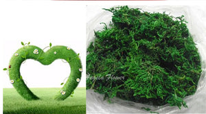 100g/bag Nature dry real green moss Plants decorative Flower pot artificial turf silk Flower accessories for Bonsai decoration