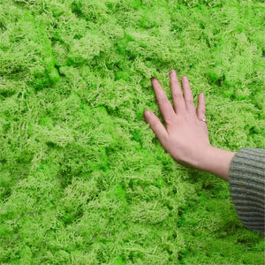 20/40g Artificial Plant Eternal Life Moss Green Fake Moss For Home Flowerpot Wall Decor Mini Garden Turf Micro Landscape Supply