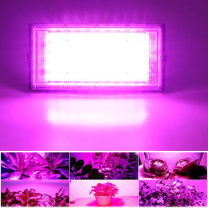 50W LED Grow Light Full Spectrum AC 220V Plant Floodlight Greenhouse Plant Hydroponic Plant Spotlight LED Plant Growth Lamp