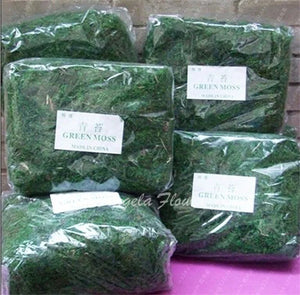 100g/bag Nature dry real green moss Plants decorative Flower pot artificial turf silk Flower accessories for Bonsai decoration