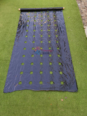 Tewango Perforated Mulch Weed Control Agriculture Film  Breeding Mulch Veg Patch For Tomato Strawberry Growth Punch 4.5cm Hole