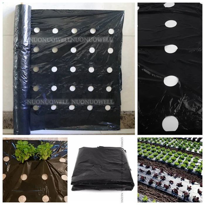 5~30M 5-Holes Black Plastic Mulch Film Perforated Greenhouse Vegetables Plant Keep Warm Film Agricultural Seedling Moisture Film