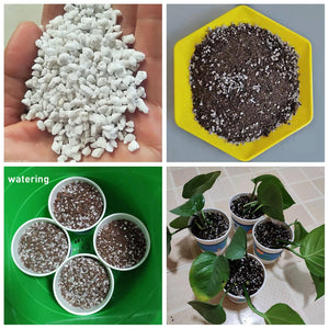 50g(0.5L) Vermiculite Perlite Pellet Configure Nutrient Soil Plant Nursery Breathable Loose Soil Substrate For Garden Bonsai