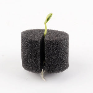 100pc Black Rooting Sponge Hydroponics Block Cloning Collar Aquaponics Net Pot Sponge Anti-Alga 4 Size Available