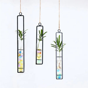 Creative Wall Hanging Flower Vase Iron Glass Hydroponics Planter Pot Transparent Hanging Flower Bottle Home Ornament Decoration