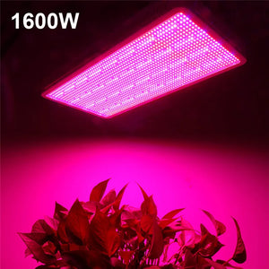 1600W 1200W 1000W 800W 600W 300W High Power Full Spectrum LED Plant Grow Light Lamps For Flower Veg Hydroponics System