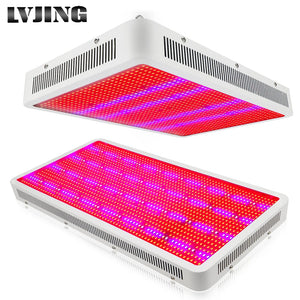 1600W 1200W 1000W 800W 600W 300W High Power Full Spectrum LED Plant Grow Light Lamps For Flower Veg Hydroponics System