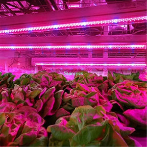 1 Roll SMD 5050 5m LED Strip Grow light Full Spectrum LED Flower Plant Phyto Growth lamp For Greenhouse Hydroponic Plant Growing