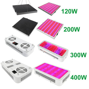 1600W 1200W 1000W 800W 600W 300W High Power Full Spectrum LED Plant Grow Light Lamps For Flower Veg Hydroponics System