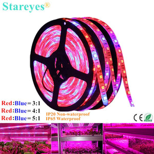 1 Roll SMD 5050 5m LED Strip Grow light Full Spectrum LED Flower Plant Phyto Growth lamp For Greenhouse Hydroponic Plant Growing