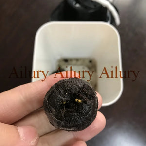 1pack 25mm Jiffy Peat Pellets Seed Starting,Seeds Starter pallet,seedling soil block,garden supplies,Fertilizer,Easy To Use