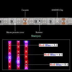 1 Roll SMD 5050 5m LED Strip Grow light Full Spectrum LED Flower Plant Phyto Growth lamp For Greenhouse Hydroponic Plant Growing