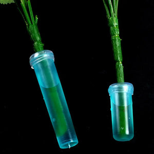 20Pcs Plastic Fresh Flower Nutrition Tube with Cap Water Storage Tube  Keep Fresh Hydroponic Container Floral Water Tube