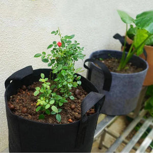 2/3/5/7/10 Gallon Garden Plant  Grow Bags Vegetable Flower Pot Planter DIY Potato Garden Pot Plant Growing bag tools