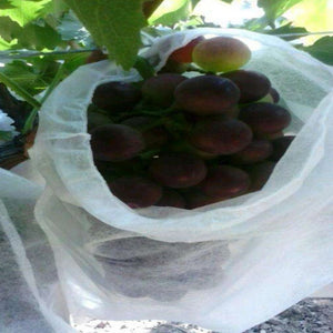 100pcs Garden Strawberry Grapes Fruit Protection Bags Cover Plant Nursery Bag Pest Control Anti-Bird Mesh Bag Gardening Protect