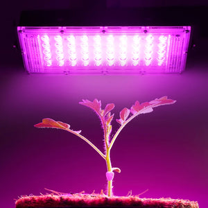 50W LED Grow Light Full Spectrum AC 220V Plant Floodlight Greenhouse Plant Hydroponic Plant Spotlight LED Plant Growth Lamp