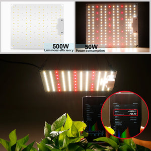 Led Grow Light With Samsung 500W 600W 800W Diode Full Spectrum Plant Growth Light for Indoor Greenhouse Hydroponic Plants