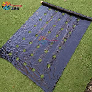 Tewango Perforated Mulch Weed Control Agriculture Film  Breeding Mulch Veg Patch For Tomato Strawberry Growth Punch 4.5cm Hole