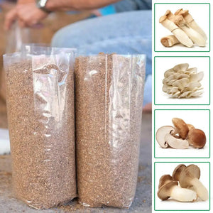 10Pcs/Bag Growth Bags High Temperature Resistant Food grade Plastic Breathable Plant Growing Container for Mushroom