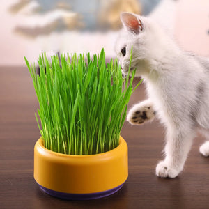 Grow Your Cat's Own Grass with This Reusable Hydroponic Planter Kit Horticultural Flowerpots Growing Bags For Planting