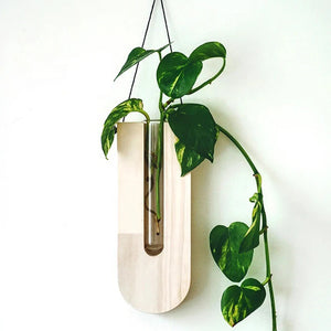 5 Styles Wall Hanging Rope Flower Vase Simple Wooden Hydroponic Plant Rack Shelve Creative Crafts Home Garden Yard Decoration