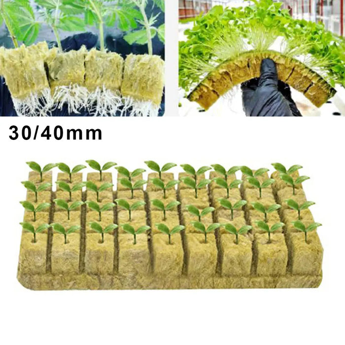 50pcs Hydroponic Grow Media Starter Cubes Plant Cubes Soilless Substrate Seededs Rock Wool Plug Seedling Block