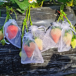 100Pcs Large Grape Fruit Protection Bags Garden Netting Bag With Drawstring Agricultural Anti-Bird Vegetable Strawberry Mesh Bag