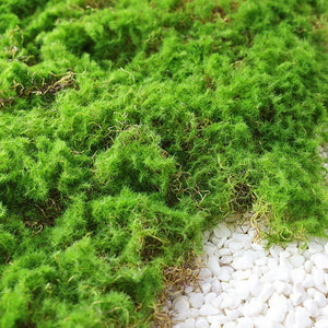 Simulation Moss Grass Turf Lawn Artificial Moss Green Fake Plant for Home Garden Wall Decor Micro Landscape Decoration