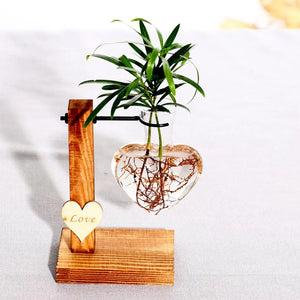 Wall Hanging Planter Terrarium for Hydroponic Plants Propagation Station Flower Pot Bulb Glass Vase for Office Home Decoration