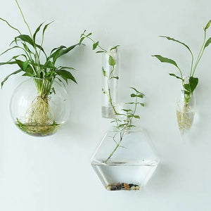 Irregular Shape Hydroponic Plants Glass Crafts Wall-mounted Fish Tank Hydroponic Vase Flower Pot Plant Container Flower Vase