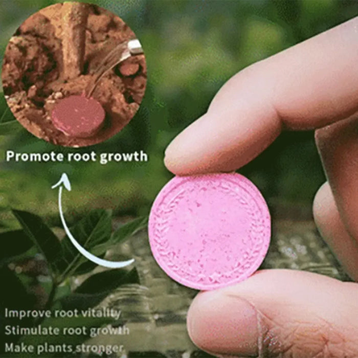 Home Gardening Universal Slow-Release Tablet Organic-Fertilizer Indoor Flower Plant Concentrated Fertilizers For Succulent