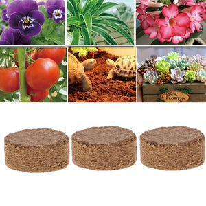 Fiber Coir Pellet Nutrient Soil Lightweight Plant Compressed Base Garden