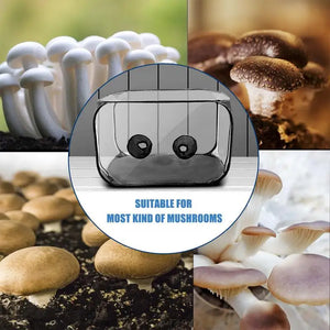 Still Air Box For Mushroom Planting Bag Mushroom Tent Propagation Stations Mushroom Grow Bags Horticulture Supplies