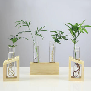 Fashion Desktop Test Tube Clear Glass Vase Nordic Wooden Vase Tray Holder Hydroponic Plant Home Garden Glass Container Decorat