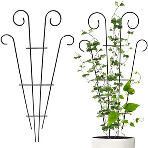 Stakes Plant Climbing Support Frame Trellis Flowers Stand Cage Tree Garden Plant Support Home Plant Care Soil Floral Arrangement