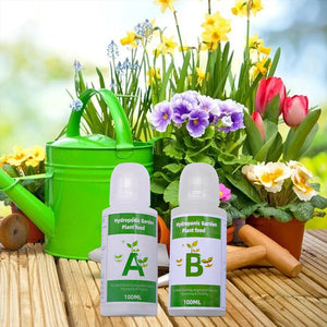 General Hydroponics Nutrients A and B for Plant Flower Vegetable Fruit Hydroponic Plant Grass Nutrients Garden Fertilizer Supply