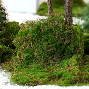 50x50cm Artificial Moss Lawn Grass Garden Fake Turf Home Decoration Wall DIY Flower Material Micro Landscape Accessories