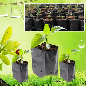 100/200PCS PE Nursery Bags Seeds Germinate Seedlings Pot with Breathable Hole for Gardening Vegetable Plants Planting Container