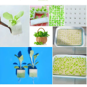 100 pieces White Seedling Sponge Soilless Hydroponic Vegetables Cultivation Plant Nursery Pots Seedlings Cloning Collar Garden