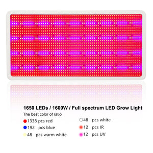 1600W 1200W 1000W 800W 600W 300W High Power Full Spectrum LED Plant Grow Light Lamps For Flower Veg Hydroponics System