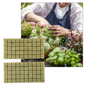 50/100pcs 25x25x40mm Stonewool Hydroponic Grow Media Cubes Garden Plant Soilless Substrate Rock Wool Plug Cloning Block