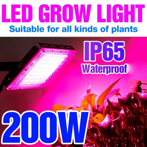 Phytolamp For Plants Light 200W Led Grow Light Phyto Lamp Full Spectrum Bulb Hydroponic Lamp Greenhouse Flower Seed Grow Tent