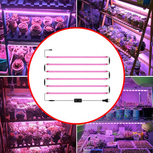 220V LED Plant Light Bulb Greenhouse Grow Light LED Phyto Lamp Full Spectrum Hydroponics Growing System Diode Phyto Lightings